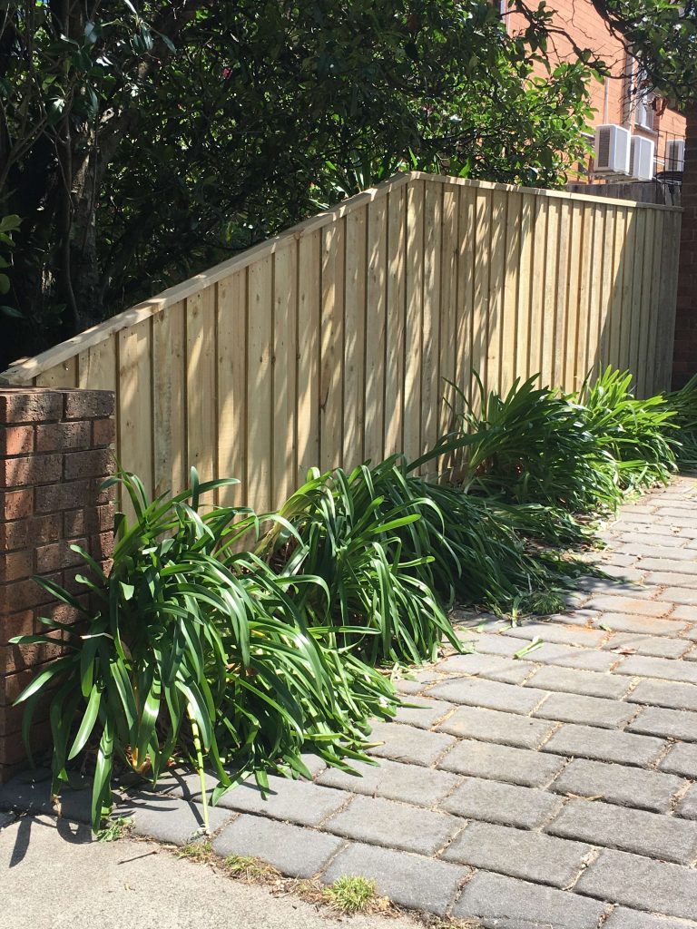 Treated Pine Paling with Capping